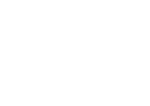 The Undersiders